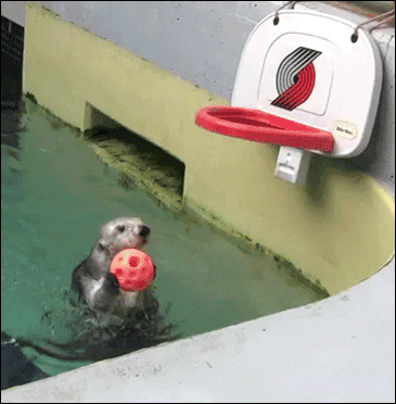 article_20240111_7.gif