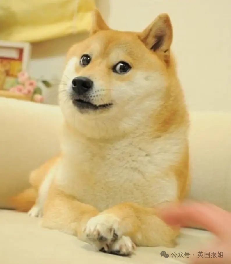 news_20240524_14.png