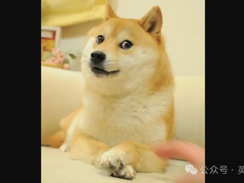 news_20240524_1_cut.png