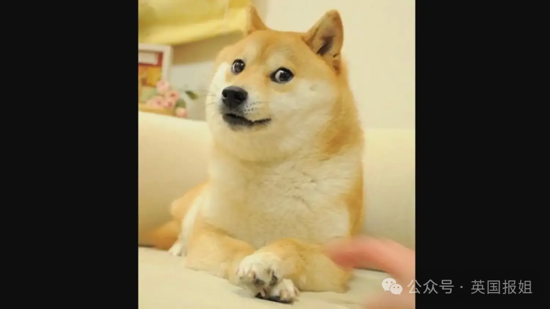 news_20240524_1_yt.png