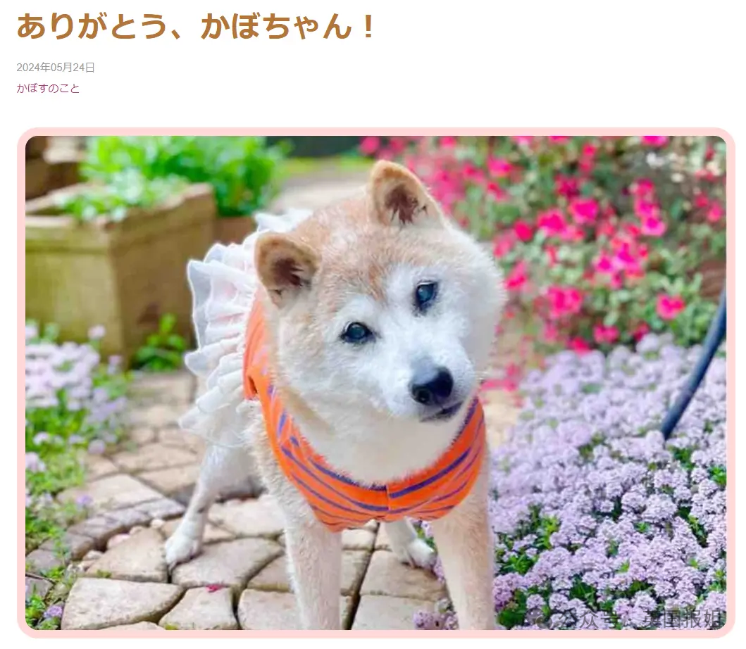 news_20240524_52.png